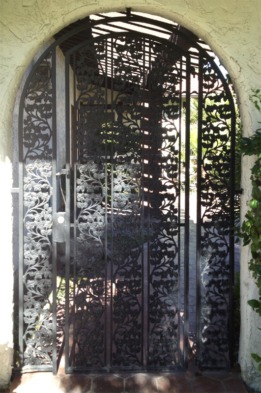 Nature Inspired Debussy Entryway Door - Item EW0060B Wrought Iron Design In Las Vegas