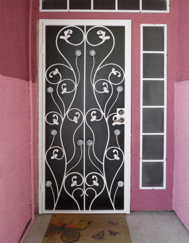 Nature Inspired Security Door - Item Venice SD0259 Wrought Iron Design In Las Vegas