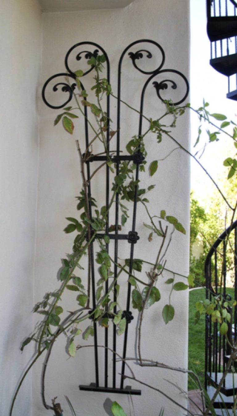 Wrought Iron Garden Trellises Las Vegas Artistic Iron Works