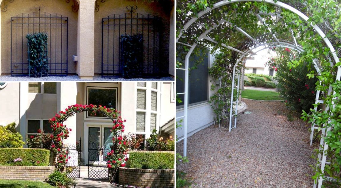 Transform Your Backyard With Wrought Iron Trellis